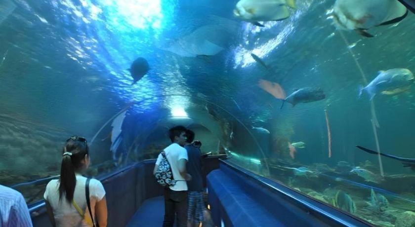 Vinpearl Discovery Rockside Nha Trang Kültér fotó