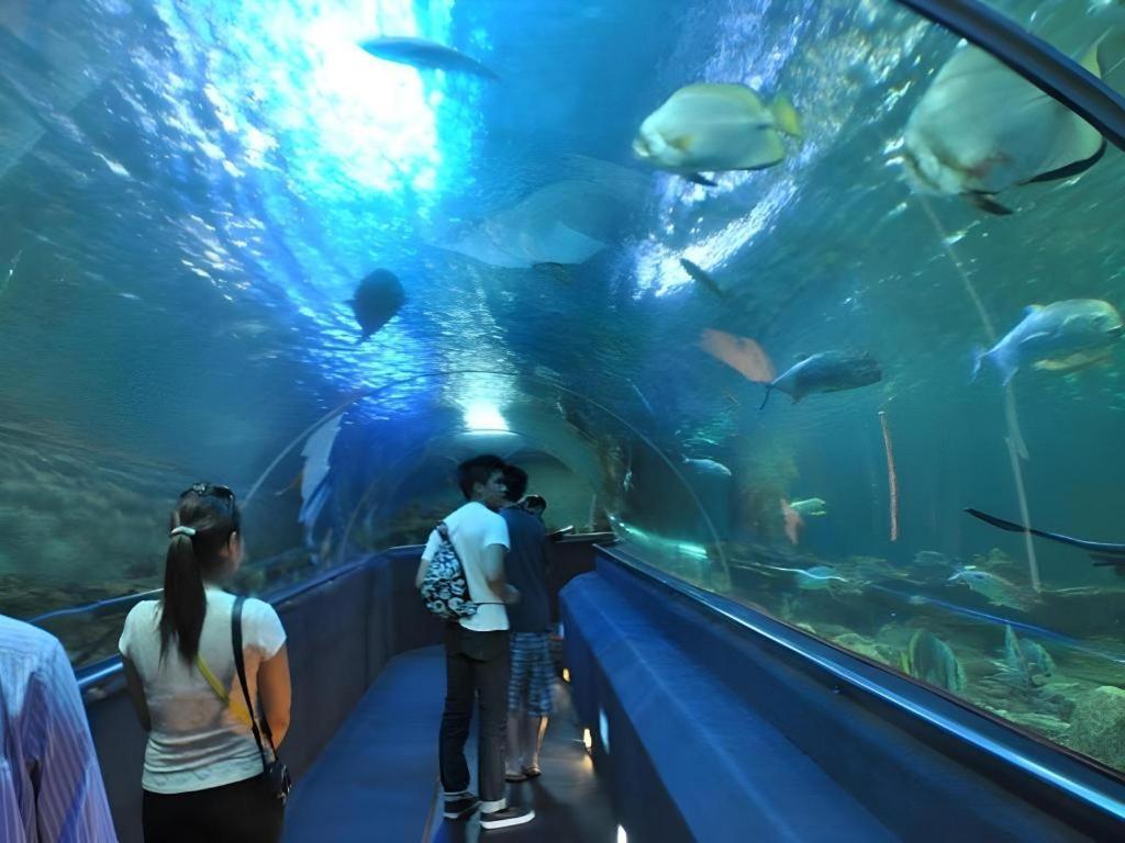 Vinpearl Discovery Rockside Nha Trang Kültér fotó